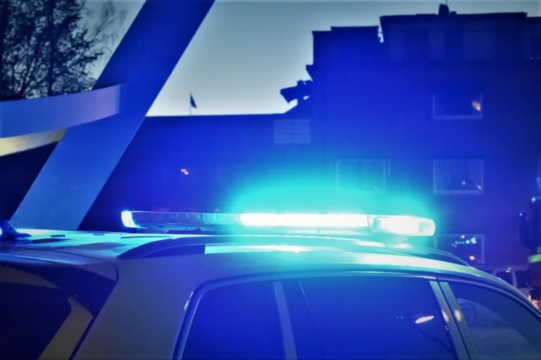 Ung man lockades i dödsfälla – två 17-åringar döms för mordet i Geneta